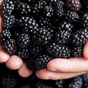 [Mary&May] Vegan Blackberry Complex Cream Essence 140ml