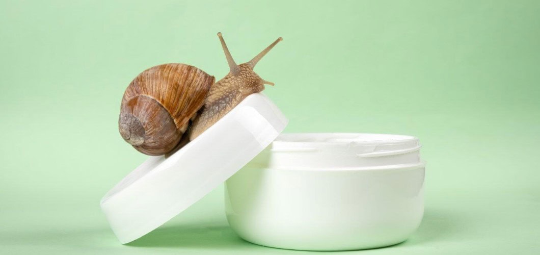 snail skin care