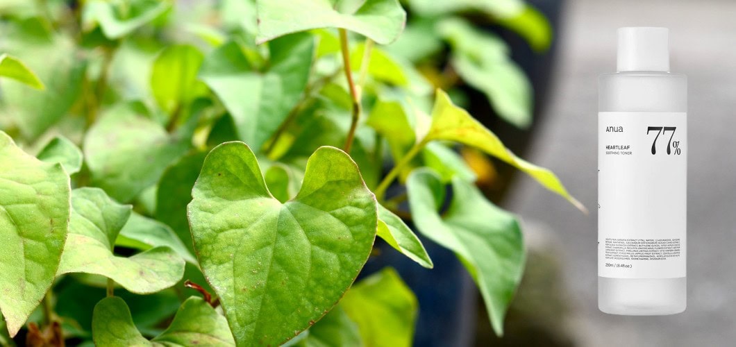 ANUA Heartleaf Range