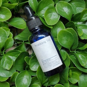 PYUNKANG YUL Oil 26ml