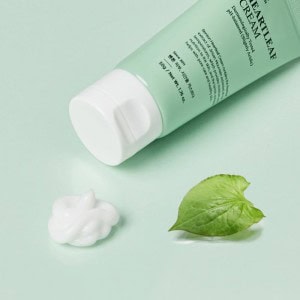 [BENTON] Heartleaf Cream 50g