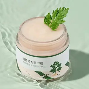 ROUND LAB Mugwort Calming Cream 80ml